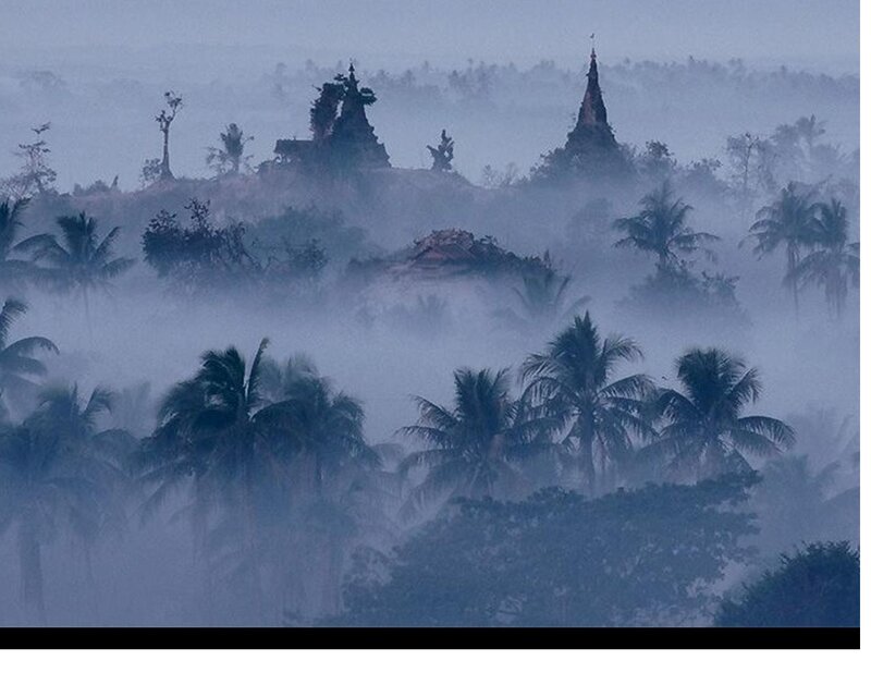 Temples in Misty Forest
