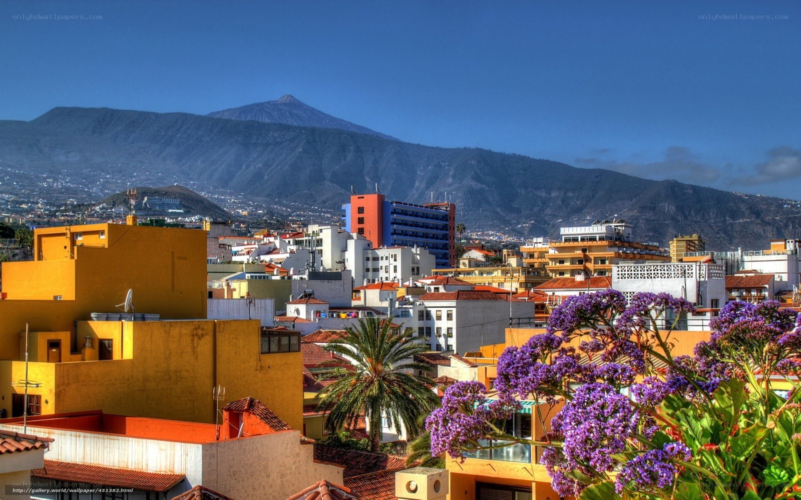 Tenerife cityscape with Mount Teide