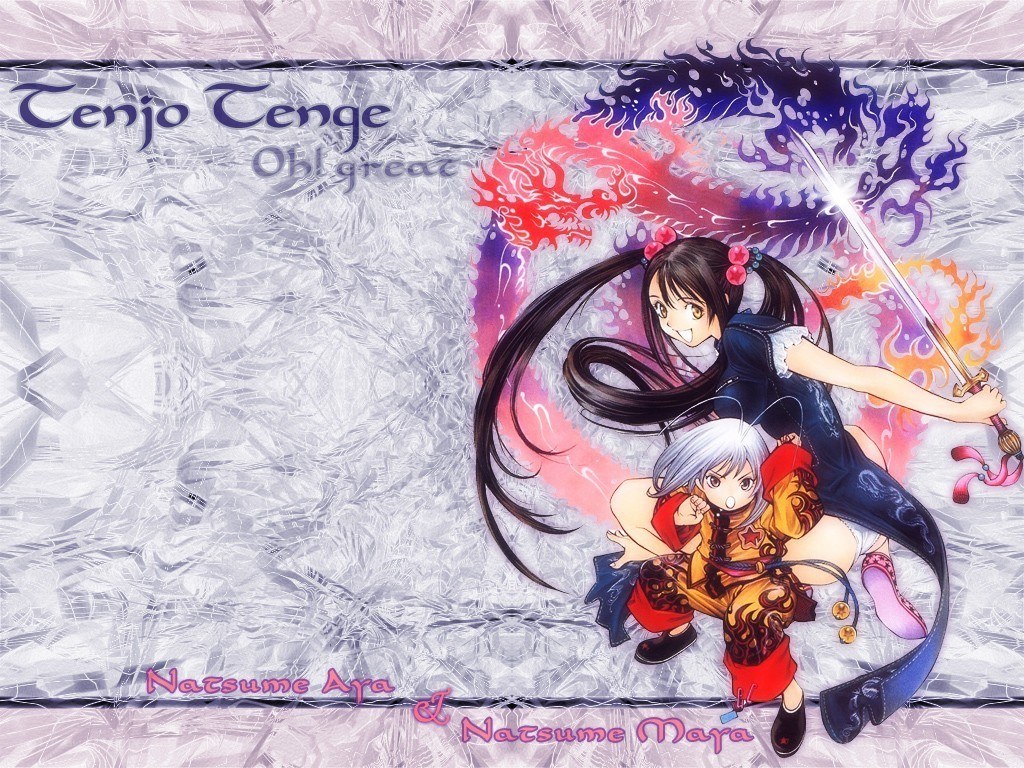Tenjou Tenge anime art