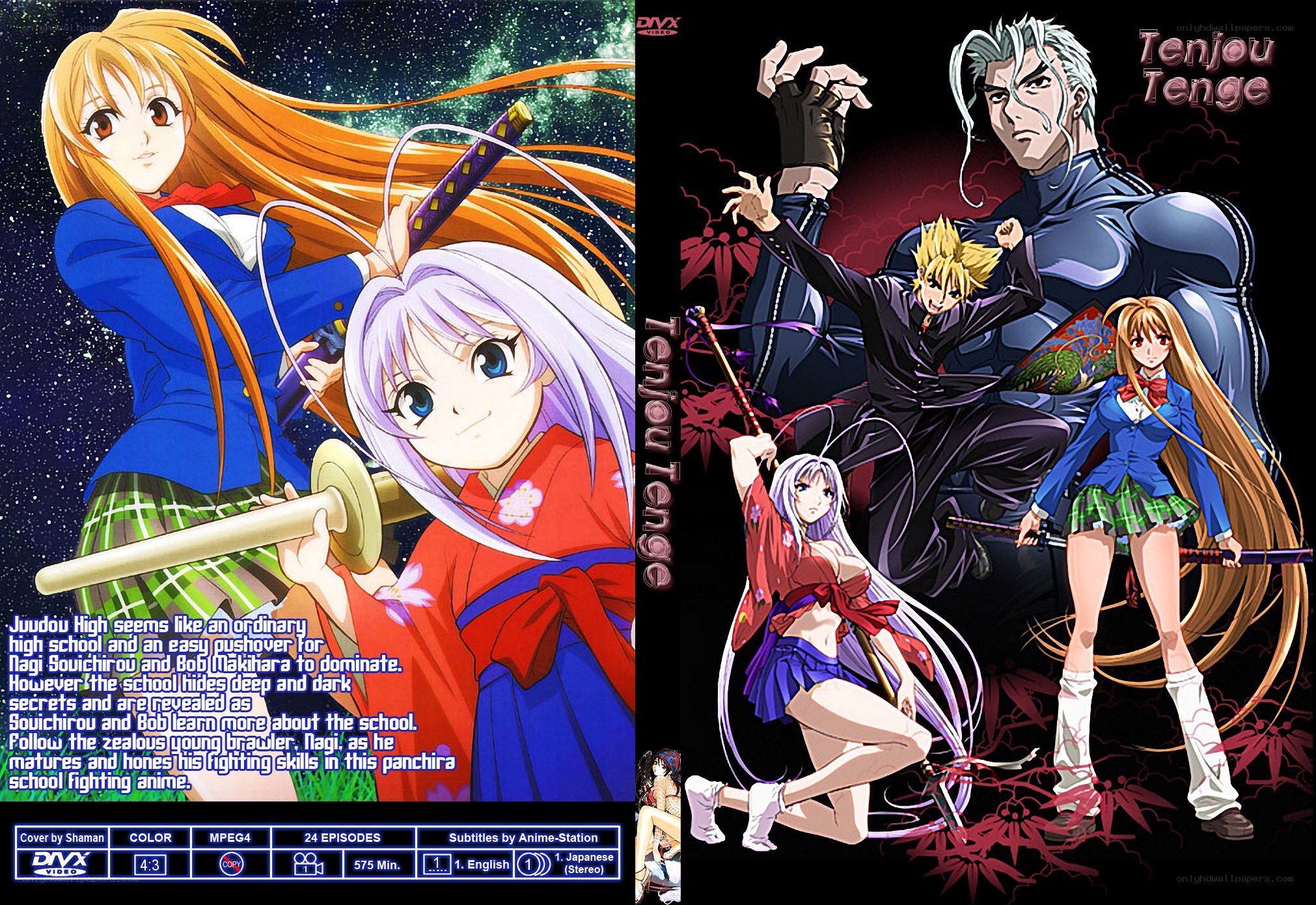 Tenjou Tenge anime series