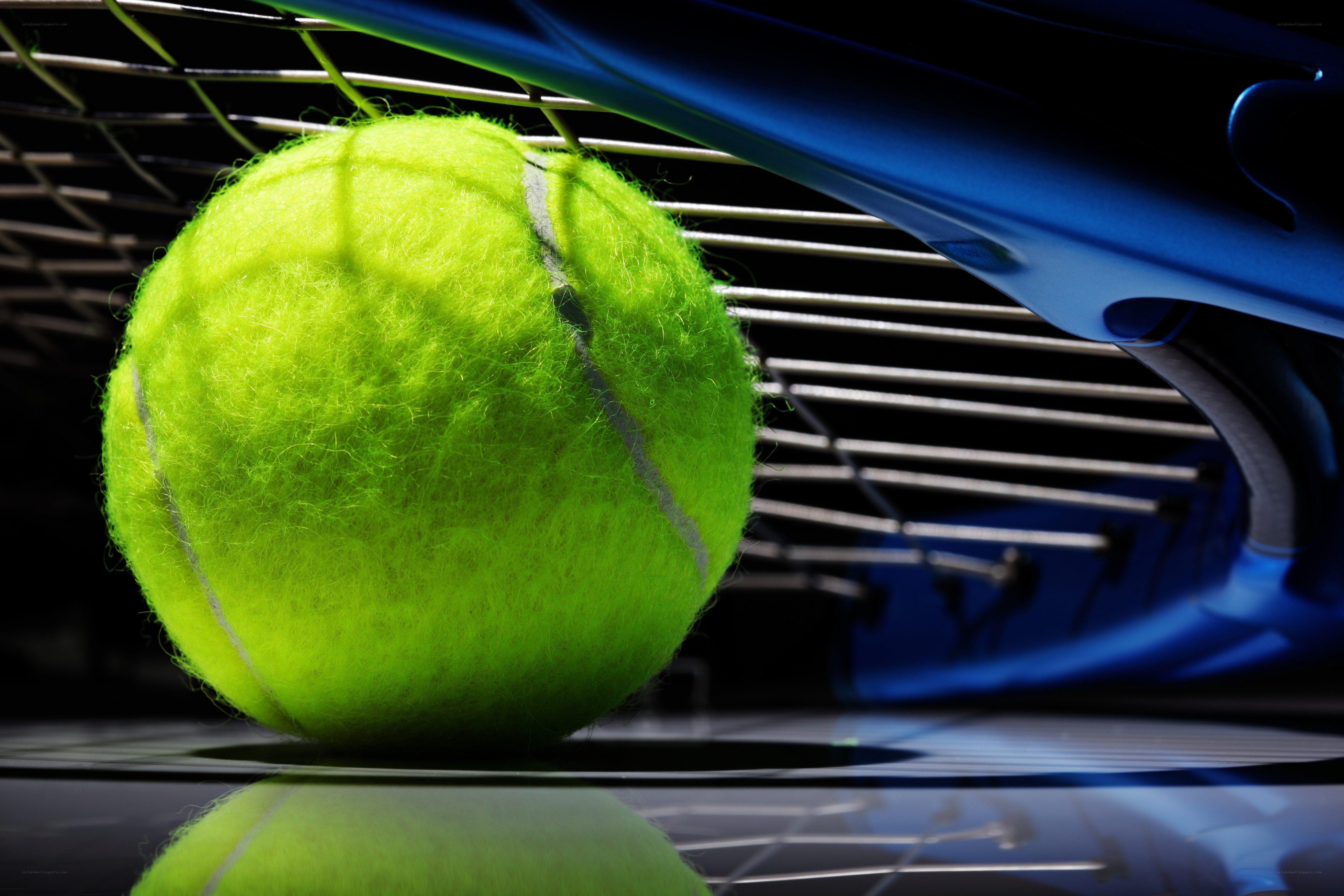 Tennis ball and racket