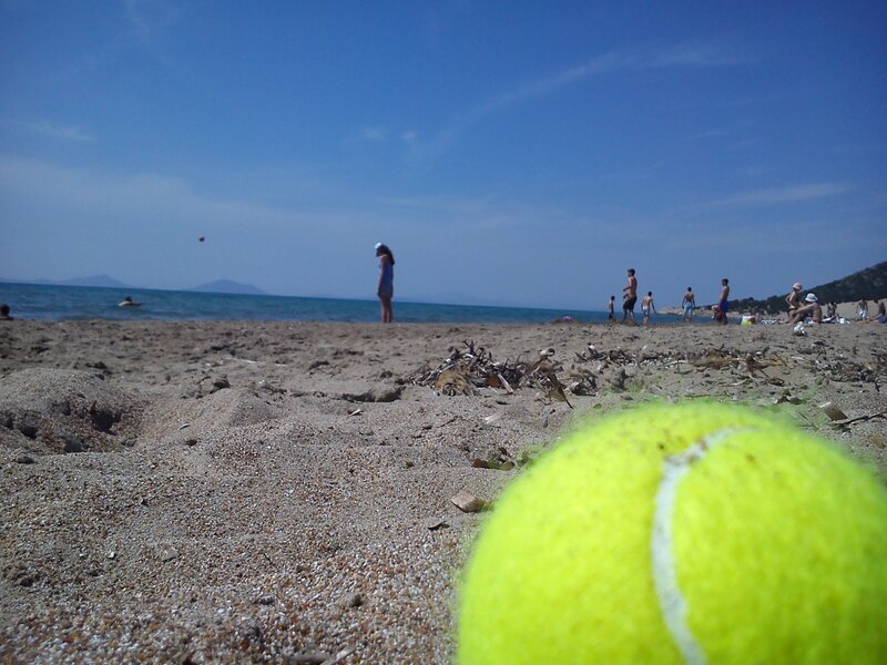 Tennis ball on a beach