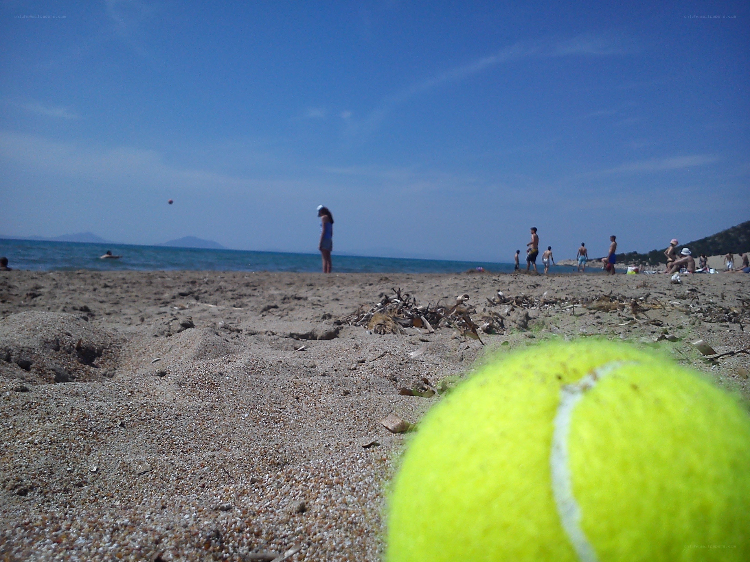 Tennis ball on a beach