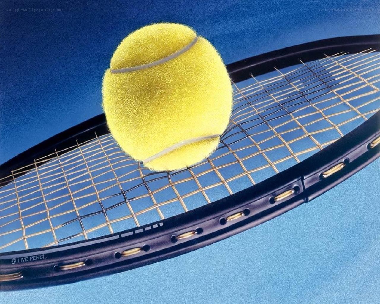 tennis ball on racket