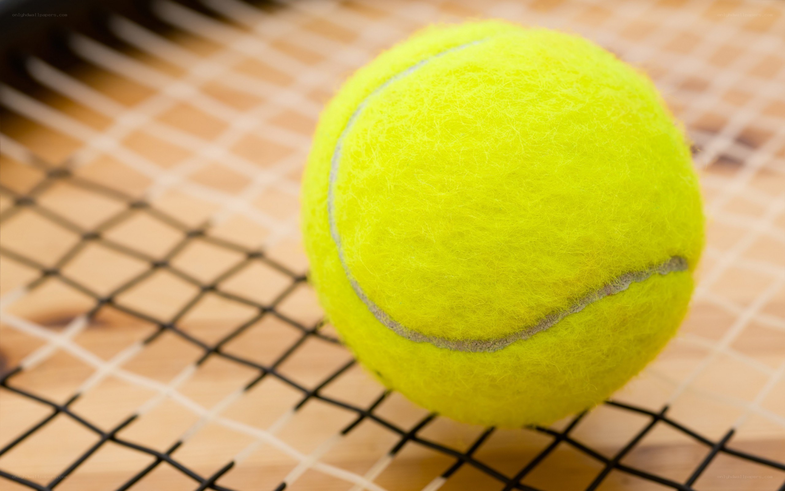 tennis ball on racket