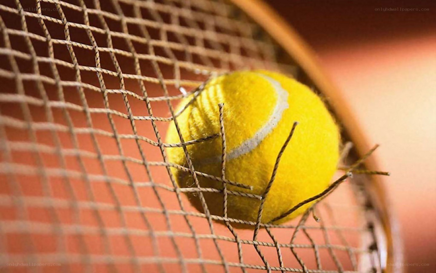 tennis ball on racket net