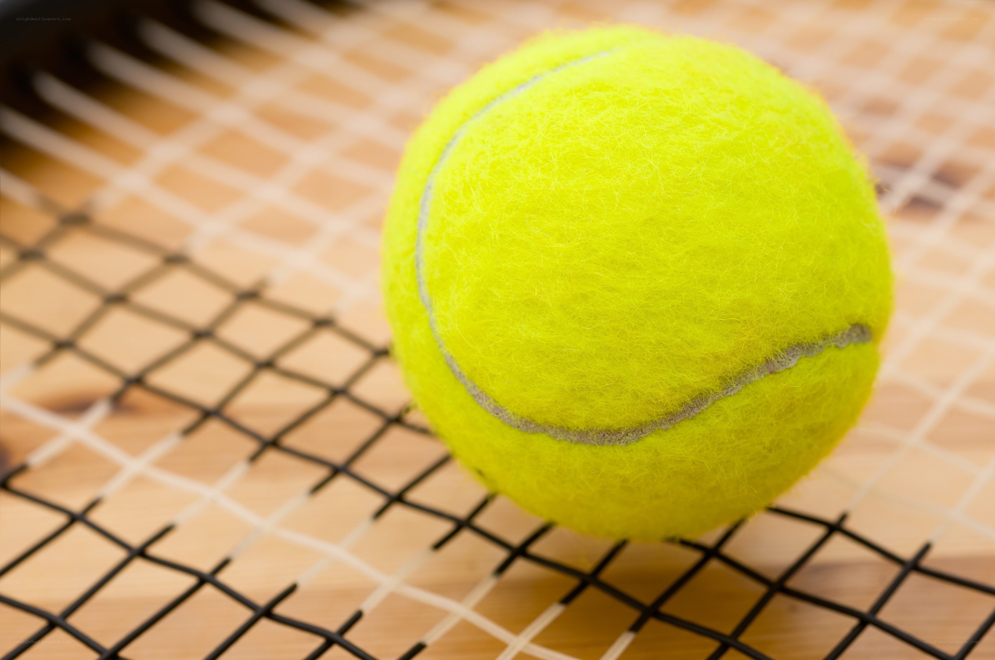 tennis ball on racket