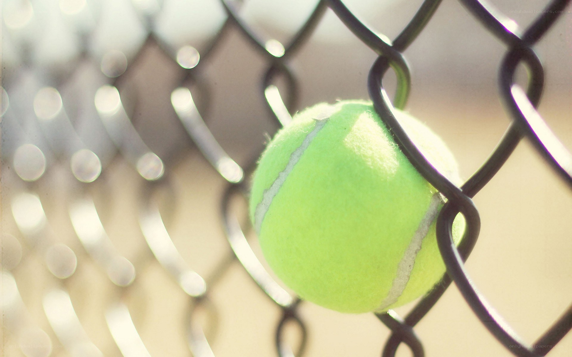 tennis ball through chain link