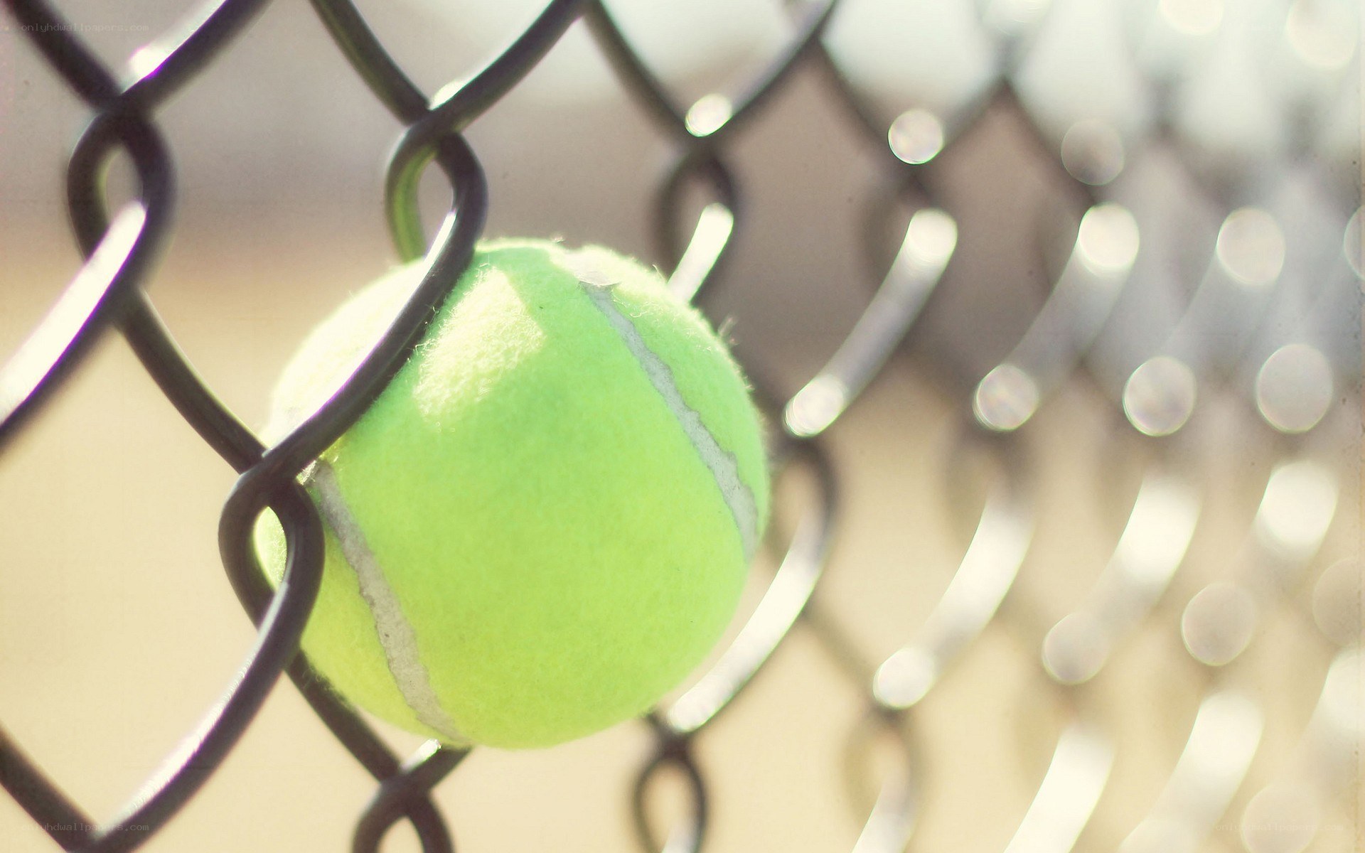 tennis ball through chain link