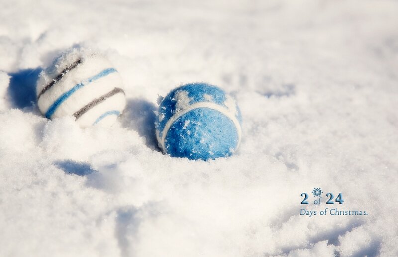 Tennis Balls in Snow