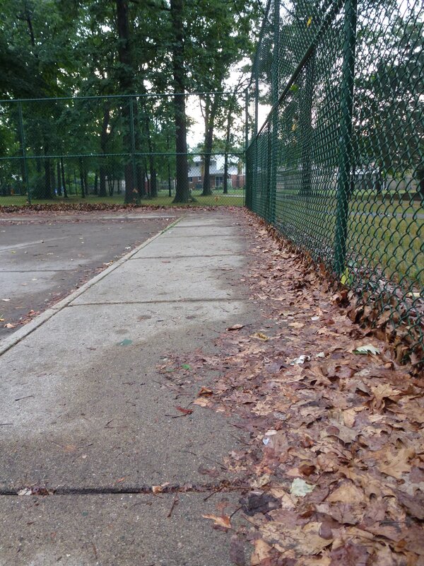 Tennis court with fallen leaves