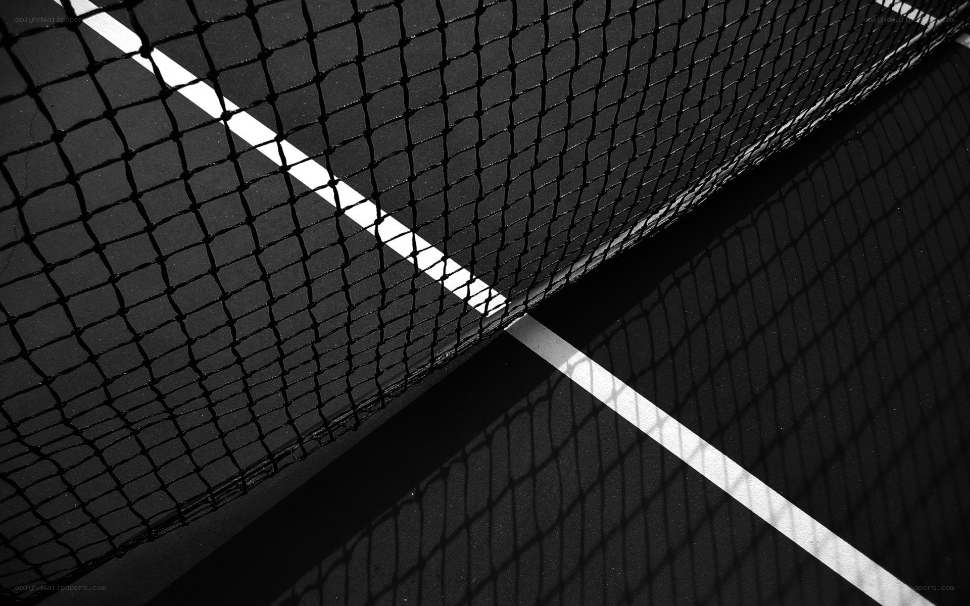 Tennis net and court lines