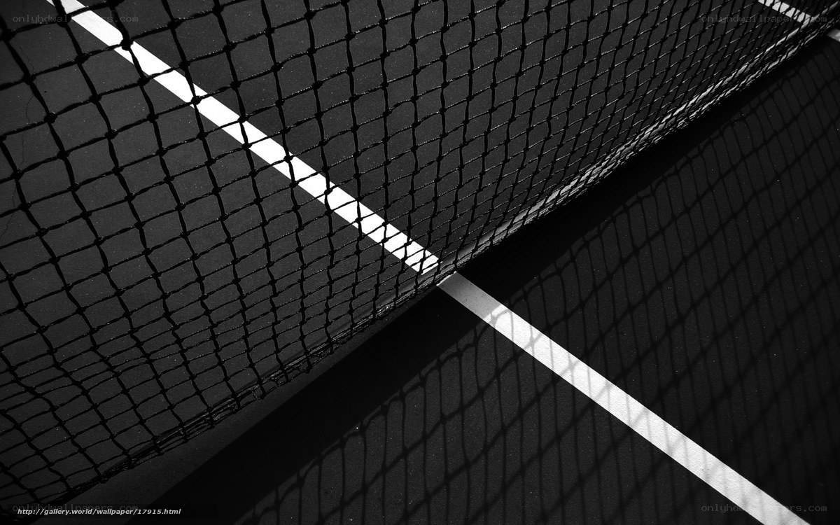 Tennis net and court lines