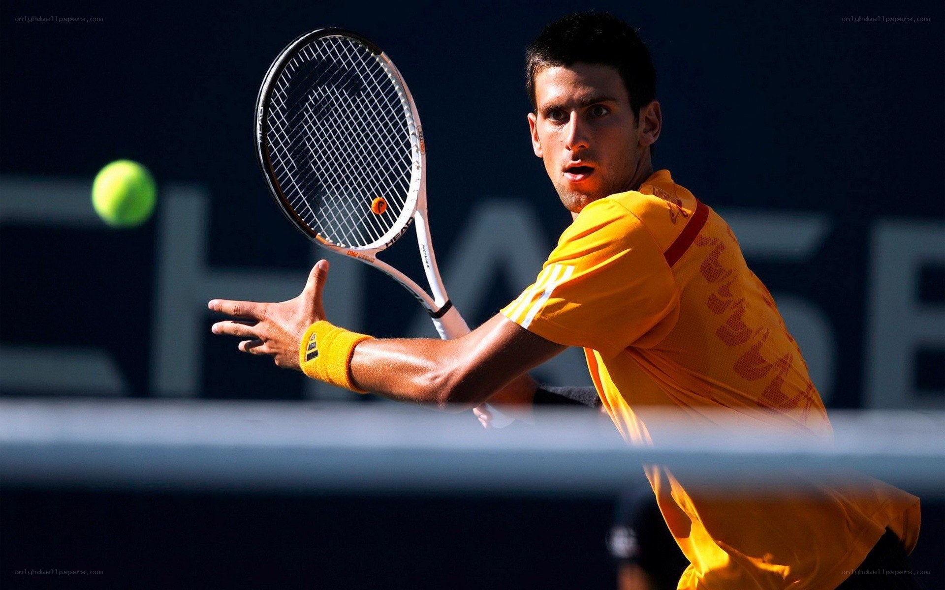 tennis player in action