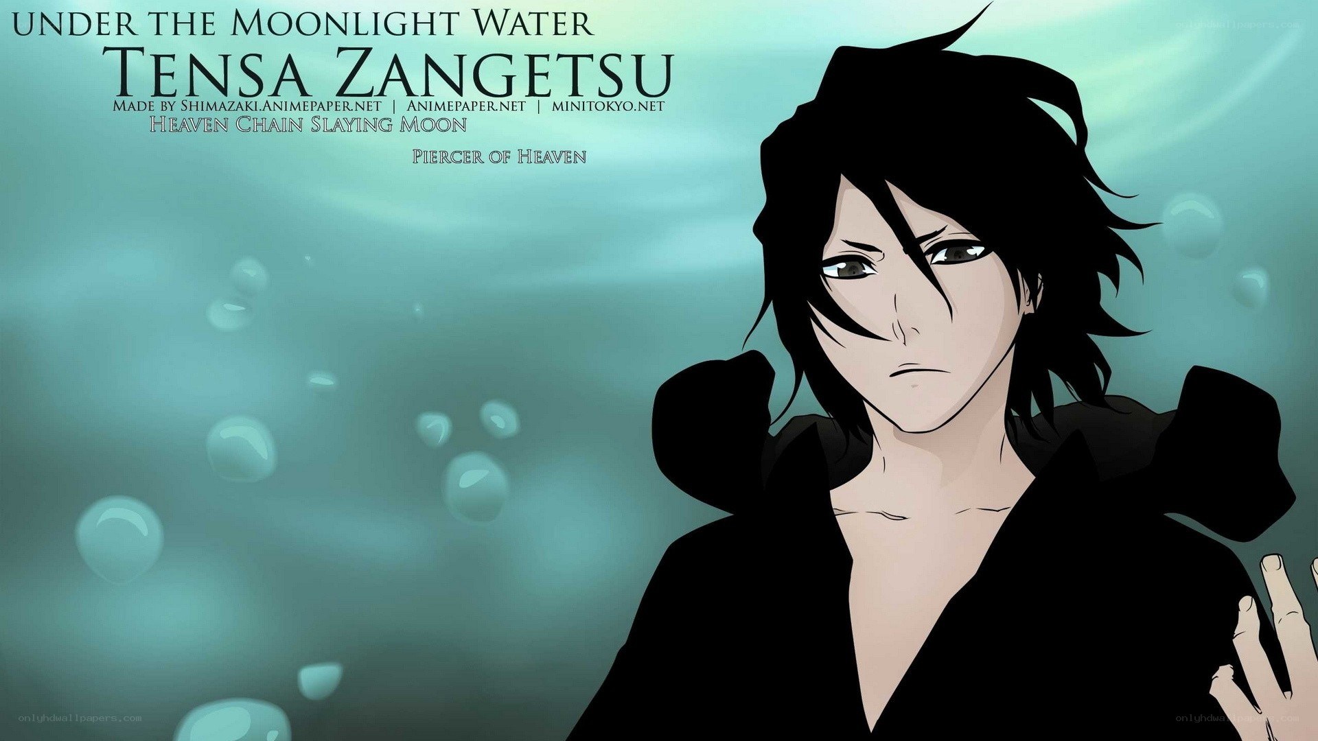 Tensa Zangetsu under moonlight
