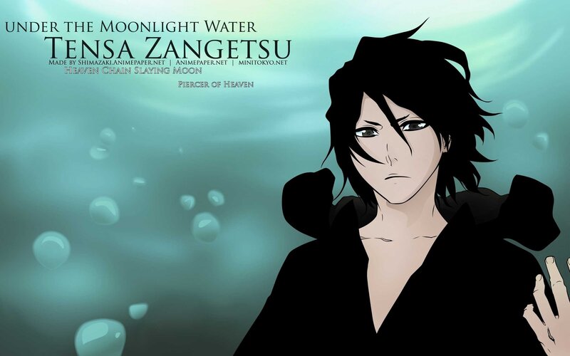 Tensa Zangetsu under moonlight