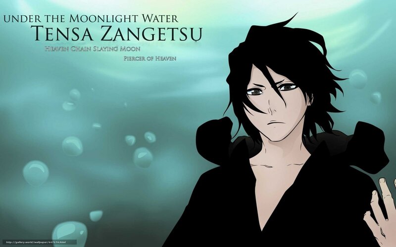 Tensa Zangetsu under moonlight