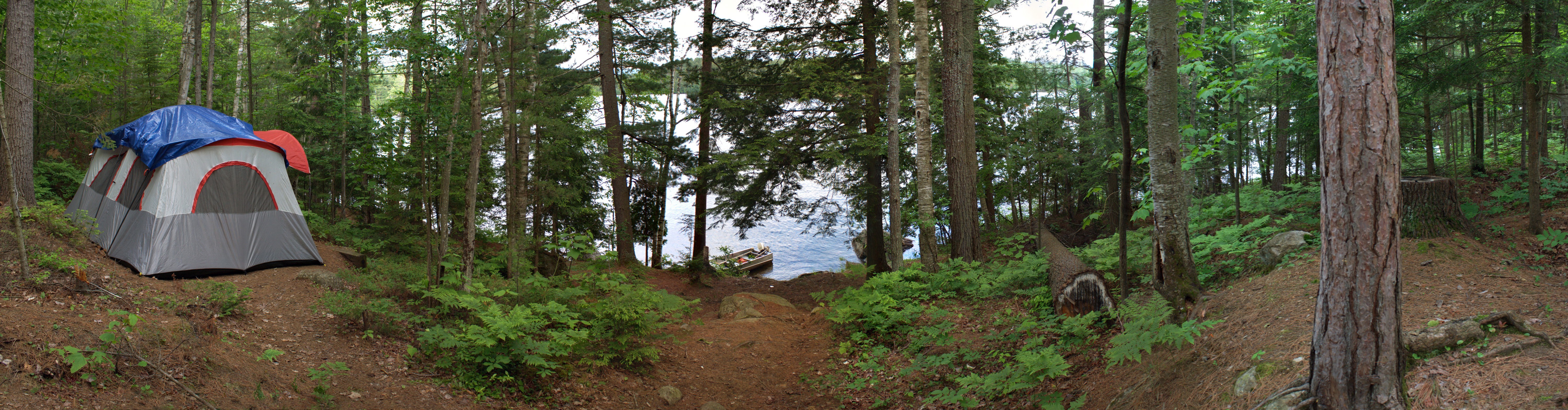 Tent camp by a forest lake