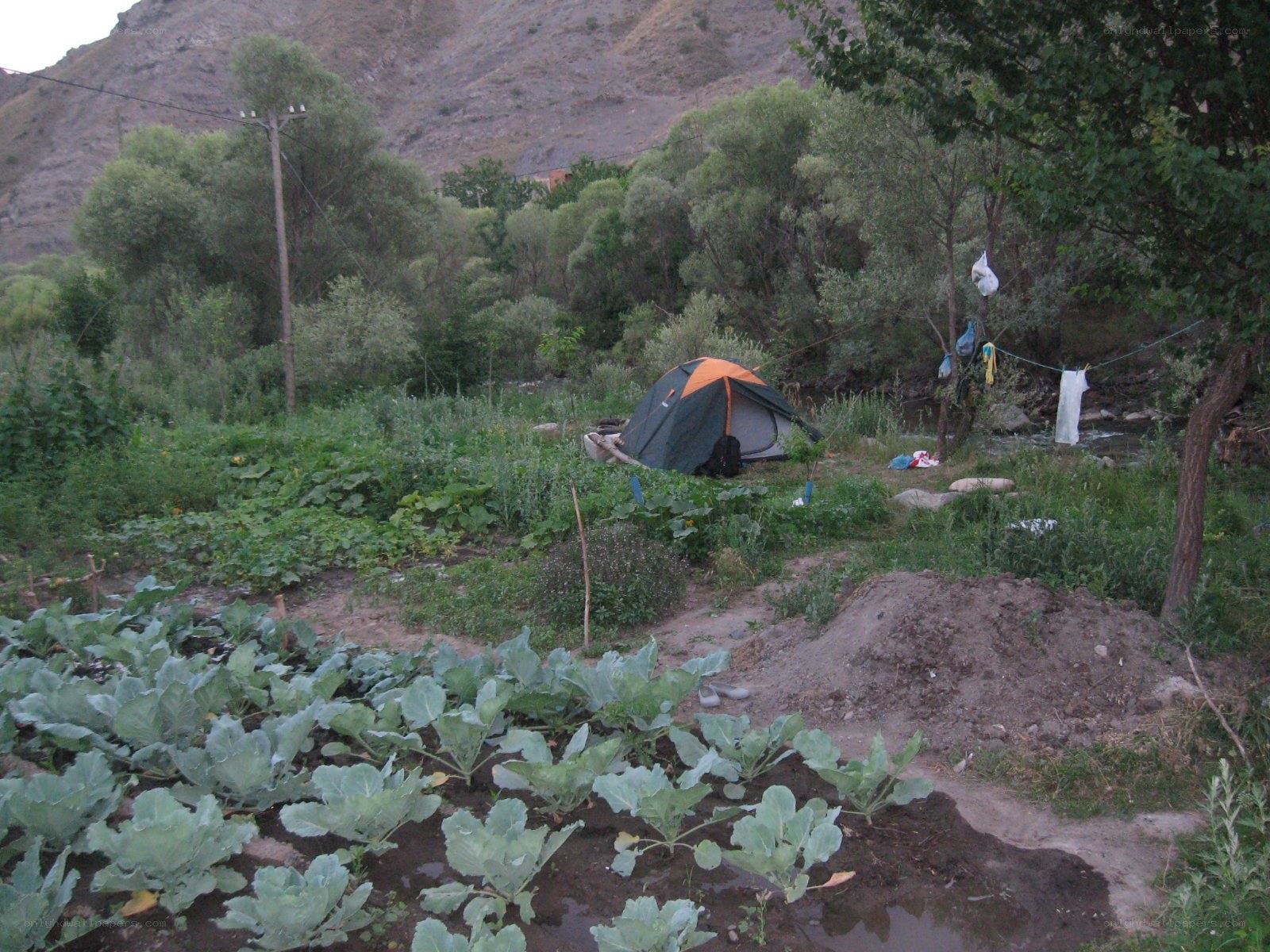 Tent in a garden by a river