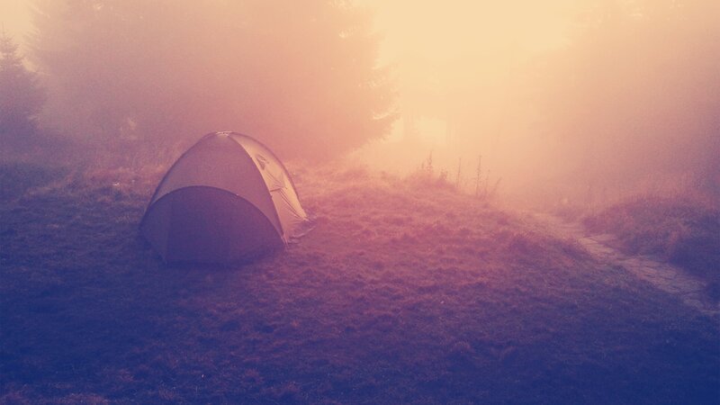 Tent in Foggy Forest — Purple, Misty