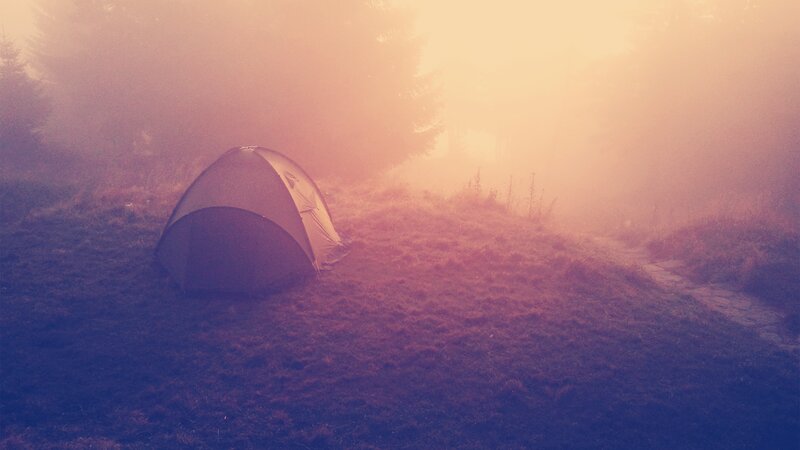 Tent in Foggy Forest — Purple