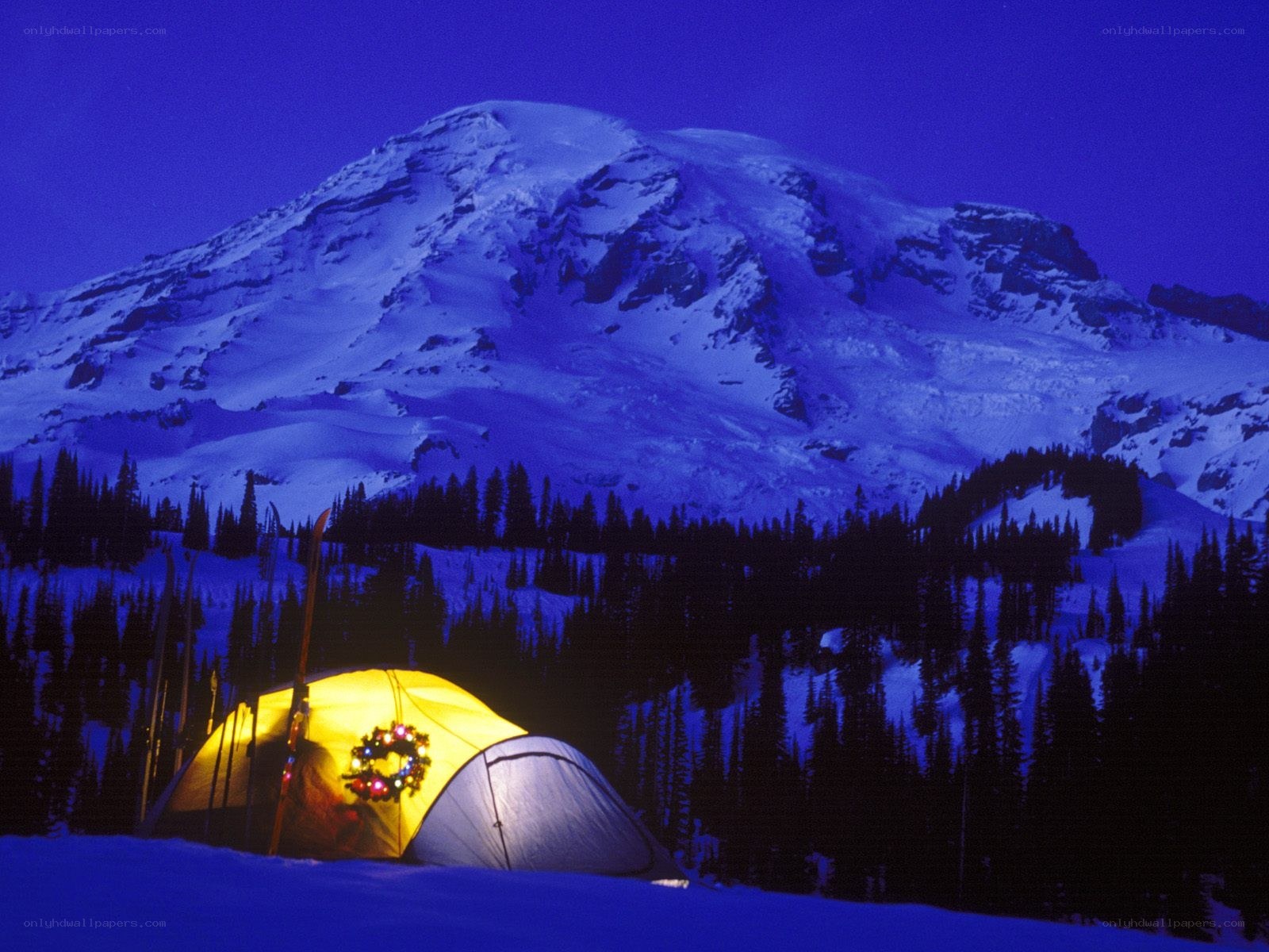 Tent lit by moonlight