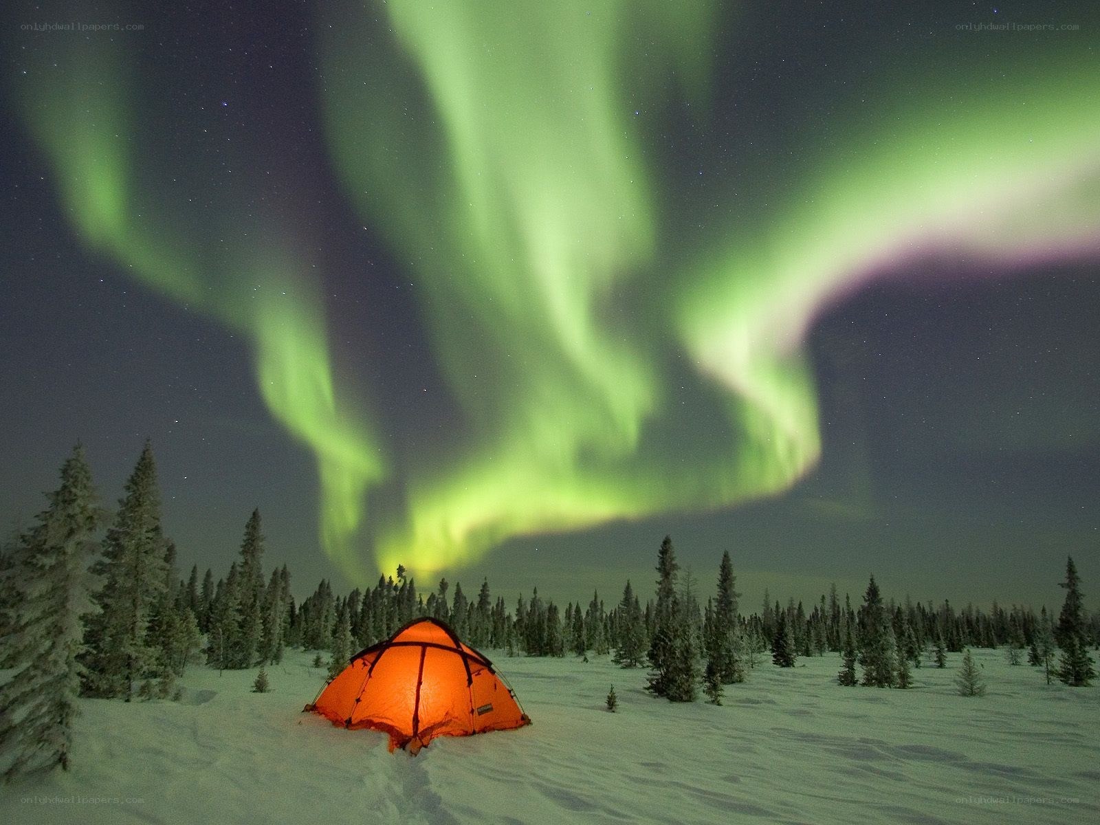 Tent under aurora borealis