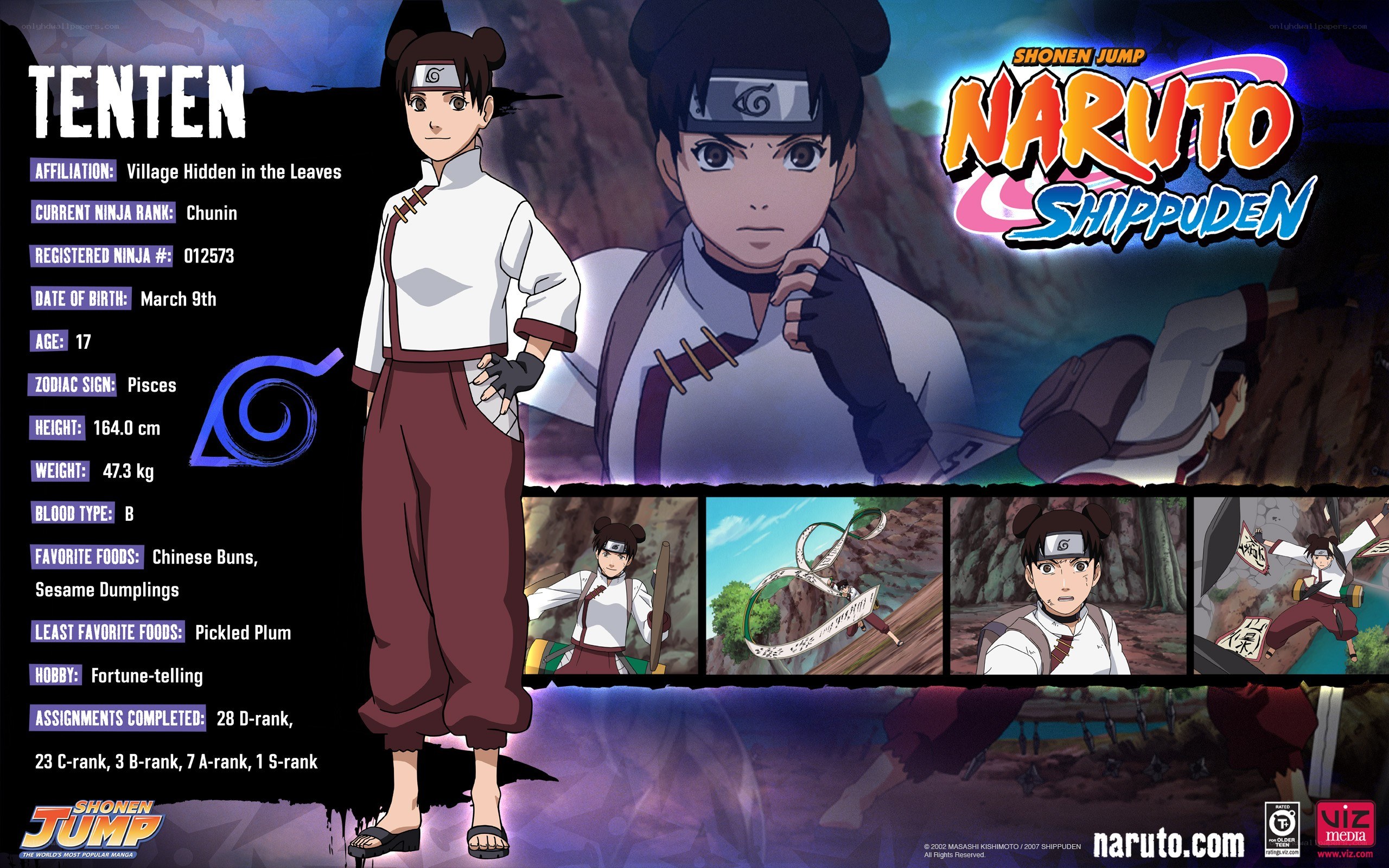 Tenten character profile