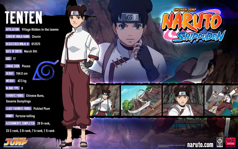 Tenten Character Profile — Purple, Dramatic, Anime, Text Box