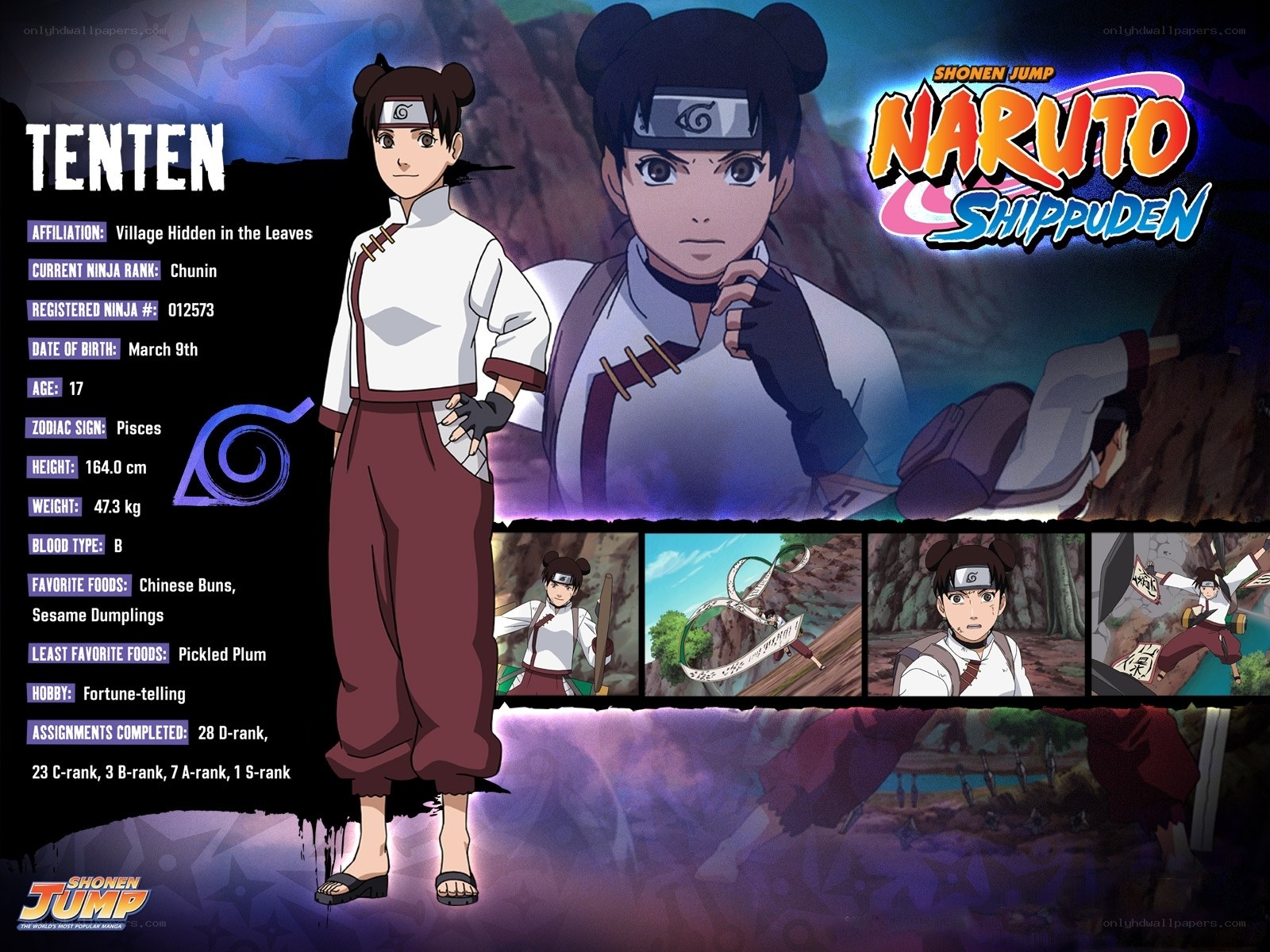 Tenten character profile