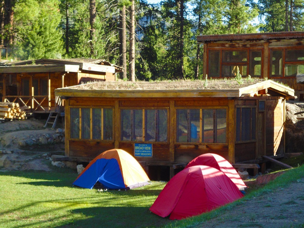 Tents at a forest campsite