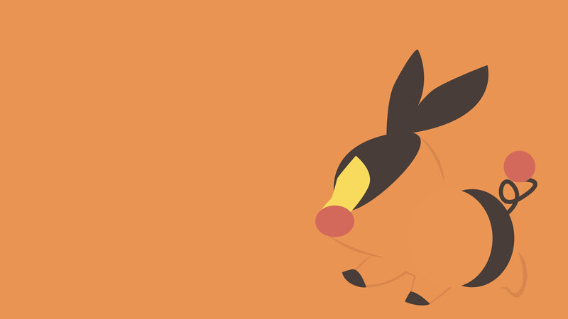Tepig Character