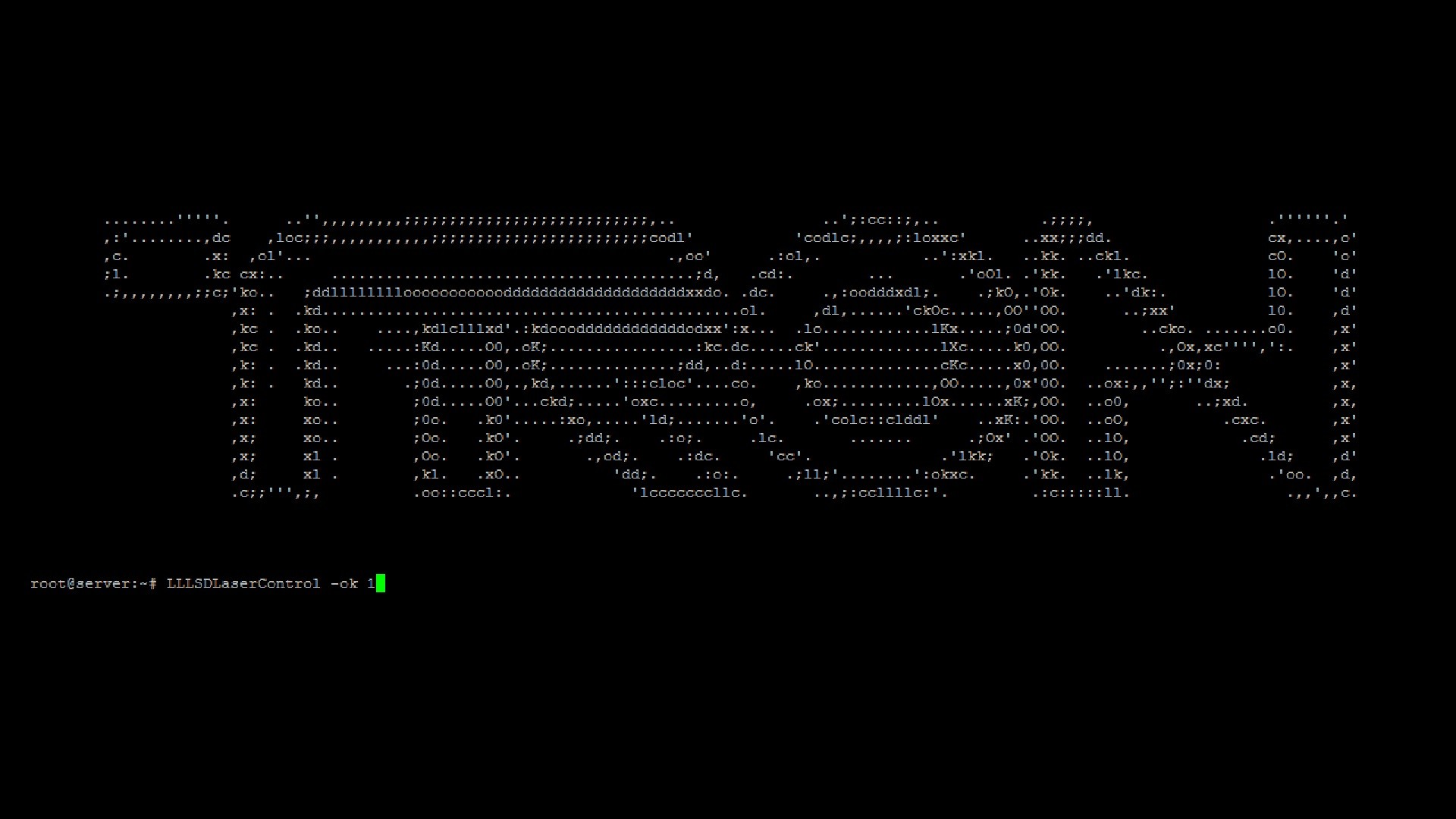 terminal command execution