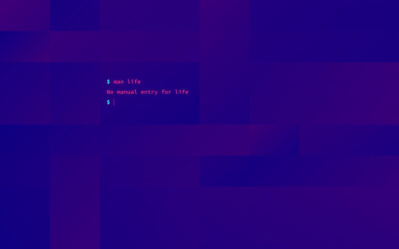 Terminal Command Output