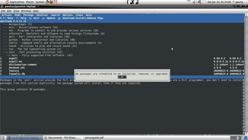 terminal package manager screen