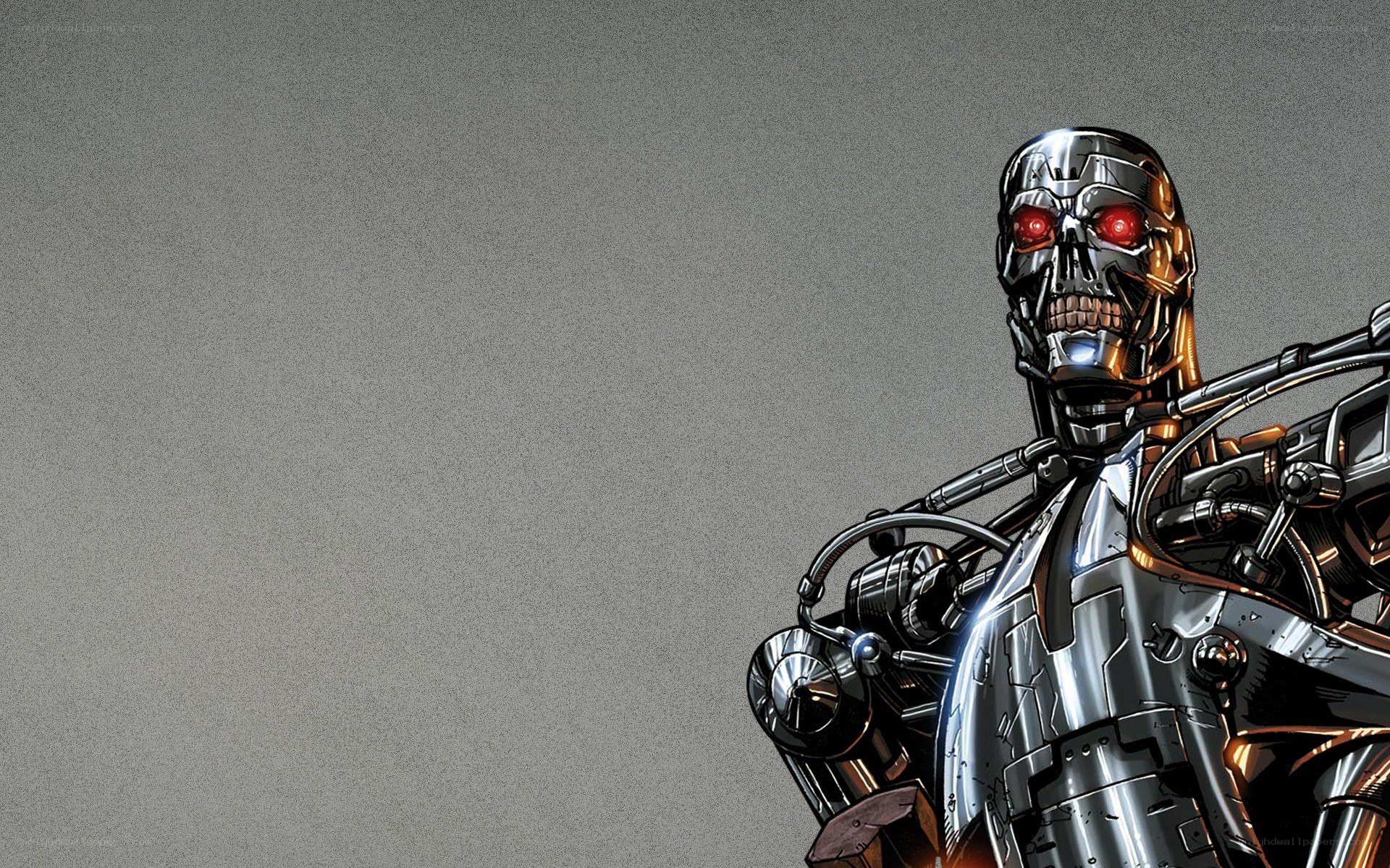 Terminator endoskeleton