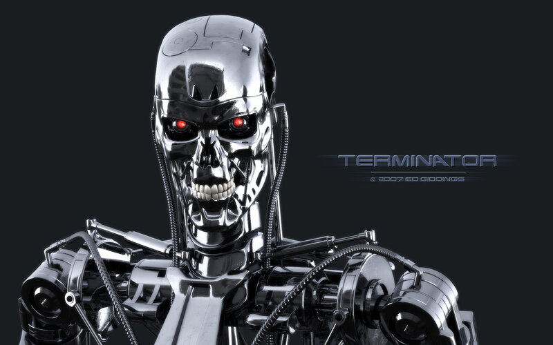 Terminator endoskeleton