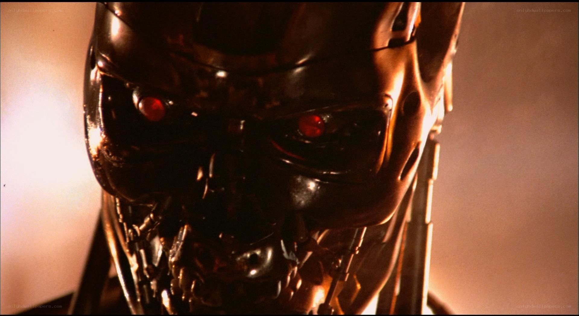 Terminator endoskeleton close-up