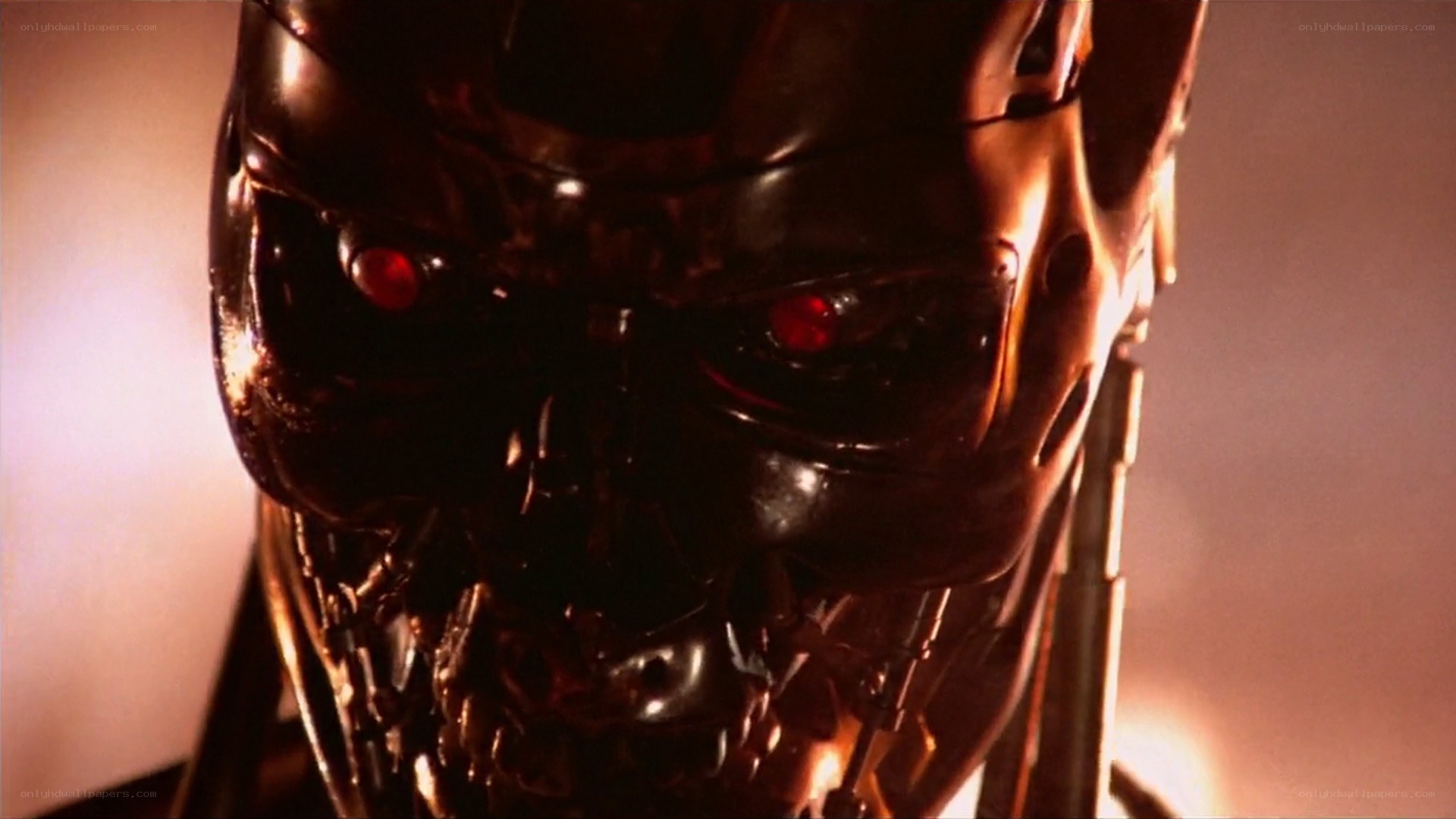 Terminator endoskeleton close-up
