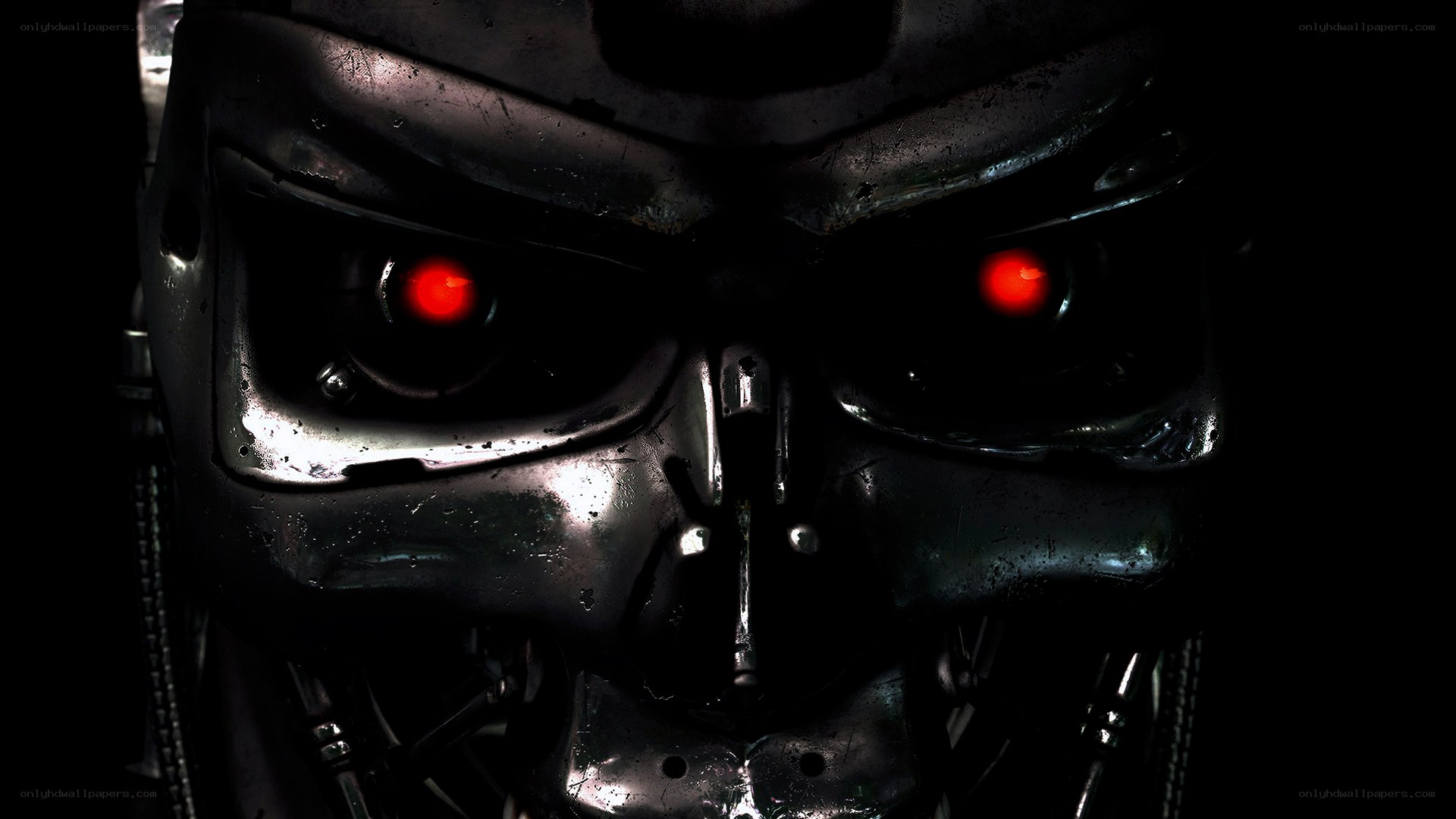 Terminator endoskeleton face