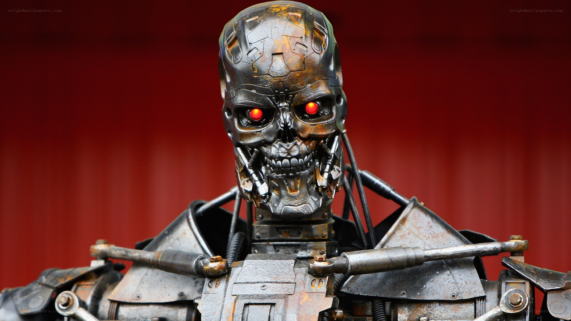 Terminator endoskeleton head