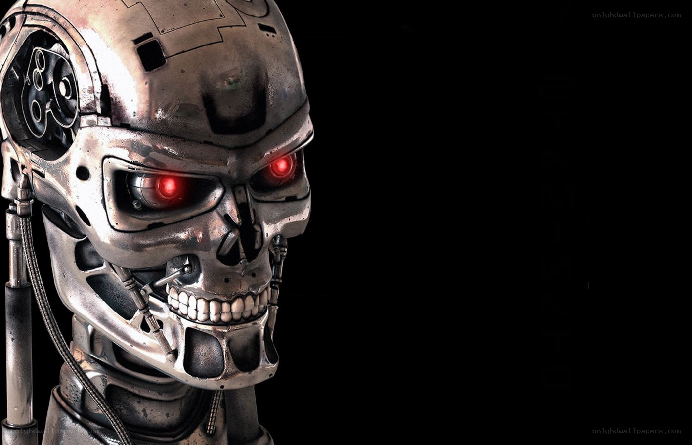 Terminator endoskeleton head