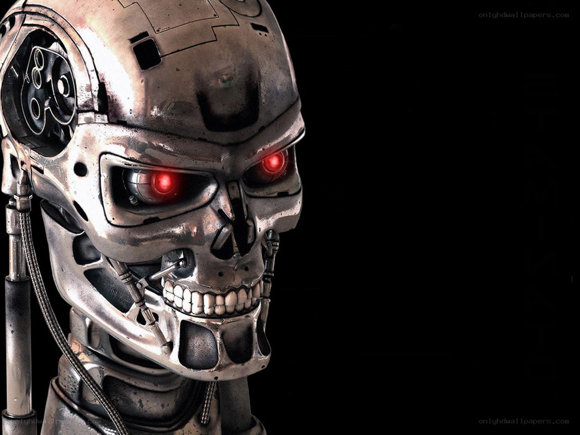 Terminator endoskeleton head