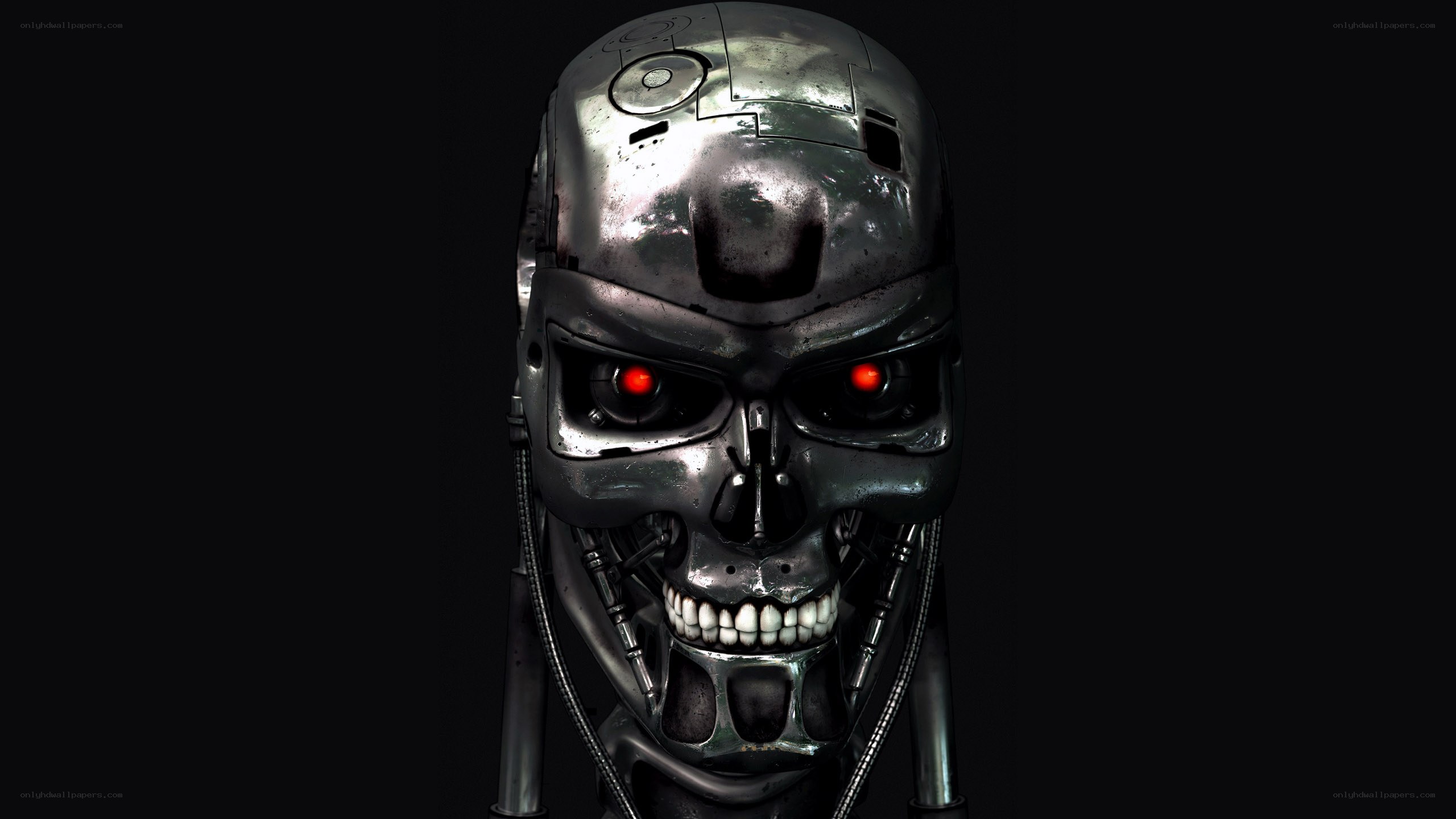 Terminator endoskeleton head