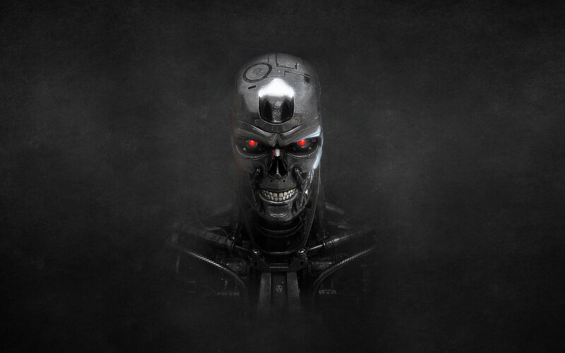Terminator endoskeleton head
