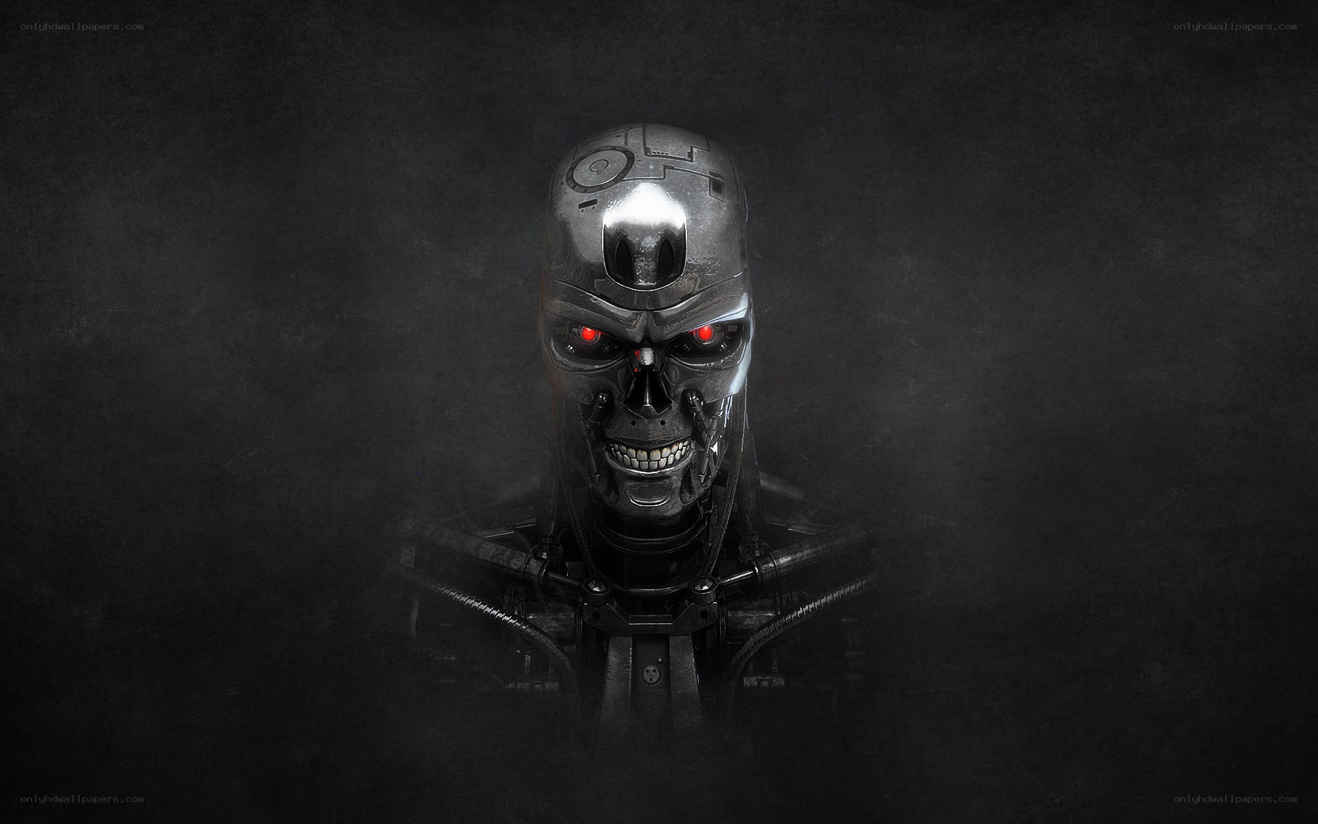 Terminator endoskeleton head
