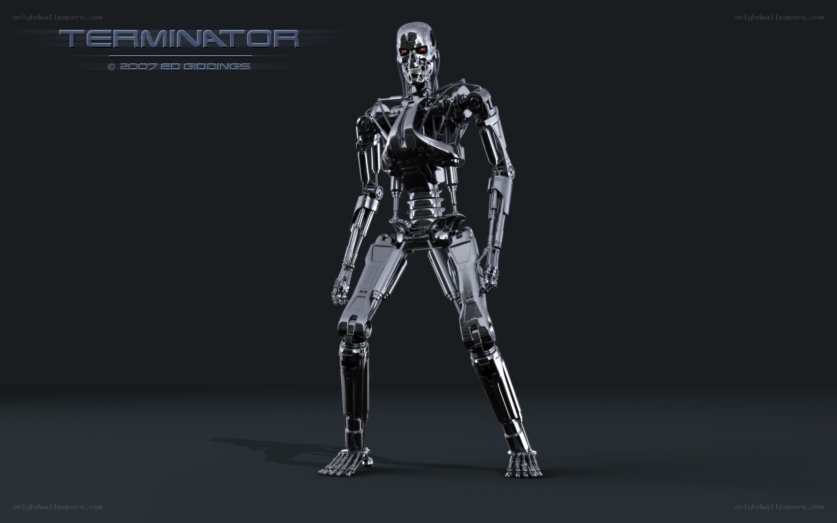 Terminator endoskeleton model