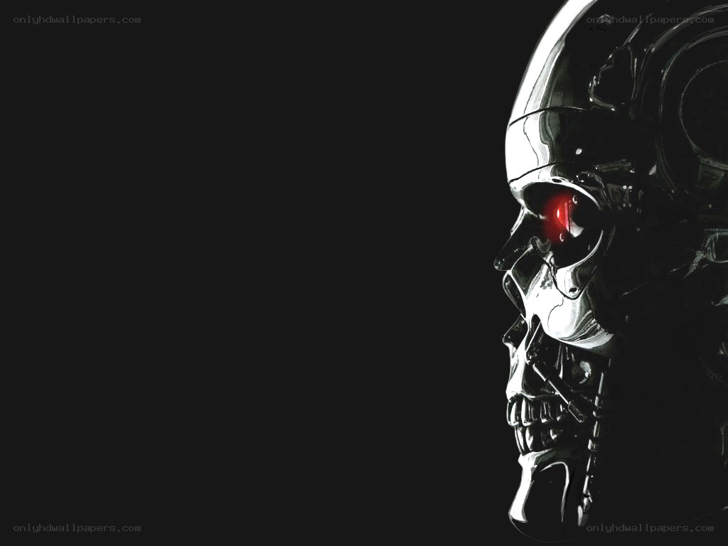 Terminator endoskeleton skull