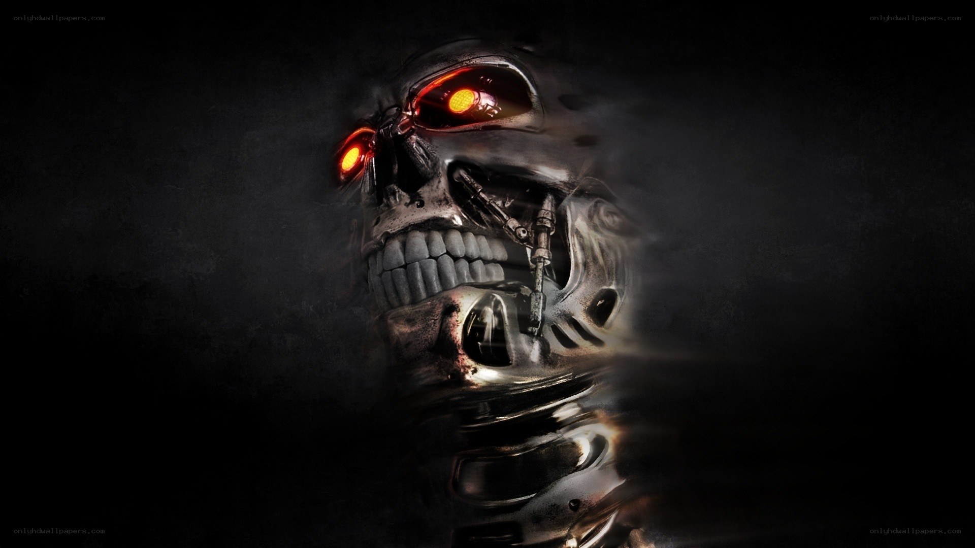 Terminator endoskeleton skull