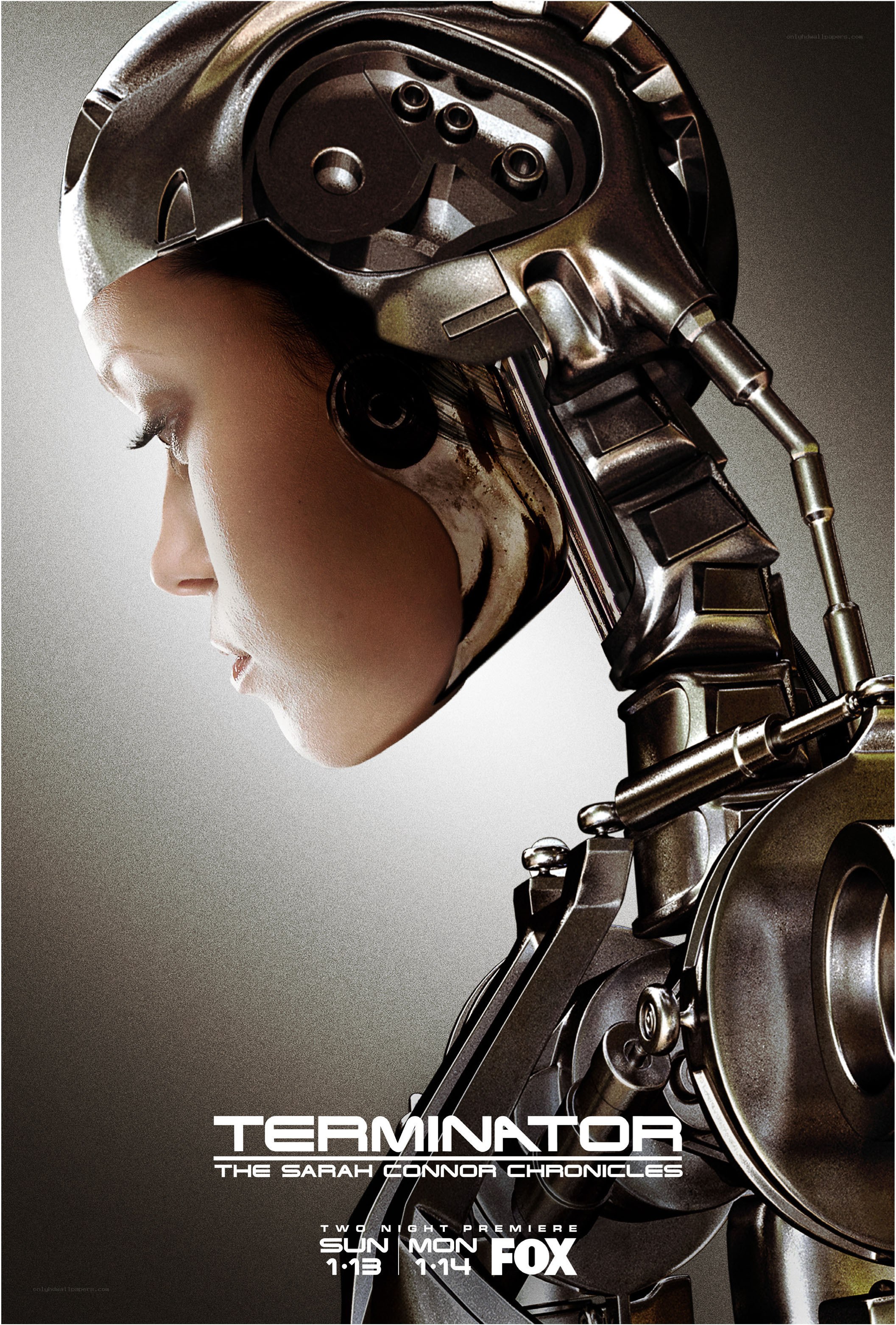 Terminator: The Sarah Connor Chronicles